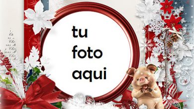 navidad marcos feliz santa marco para foto 390x220 - navidad marcos feliz santa marco para foto