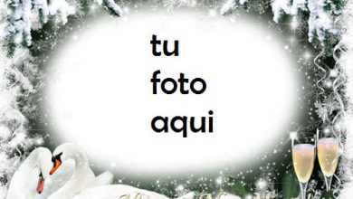 navidad marcos por los hermosos corazones en el año nuevo marco para foto 390x220 - navidad marcos por los hermosos corazones en el año nuevo marco para foto