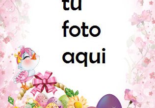 navidad marcos pájaro desea feliz pascua marco para foto 316x220 - navidad marcos pájaro desea feliz pascua marco para foto