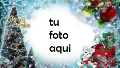 navidad marcos regalos bajo el árbol de navidad marco para foto 390x220 - navidad marcos regalos bajo el árbol de navidad marco para foto