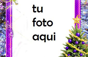 rbol De Año Nuevo Con Decoraciones Violetas Marco Para Foto 338x220 - Árbol De Año Nuevo Con Decoraciones Violetas Marco Para Foto