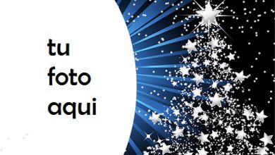 rbol De Año Nuevo Hecho De Estrellas Marco Para Foto 390x220 - Árbol De Año Nuevo Hecho De Estrellas Marco Para Foto