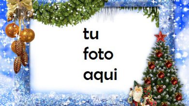 rbol De Año Nuevo Marco Para Foto 390x220 - Árbol De Año Nuevo Marco Para Foto