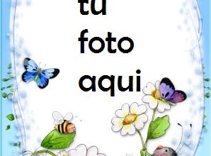 Marco Para Foto Abejas Divertidas Primavera Marcos 298x220 - Marco Para Foto Abejas Divertidas Primavera Marcos