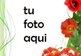 Marco Para Foto Amapolas Color De Amor Amor Marcos 316x220 - Marco Para Foto Amapolas Color De Amor Amor Marcos