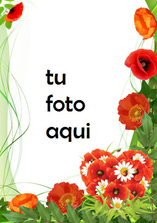 Marco Para Foto Amapolas Color De Amor Amor Marcos - Marco Para Foto Amapolas Color De Amor Amor Marcos