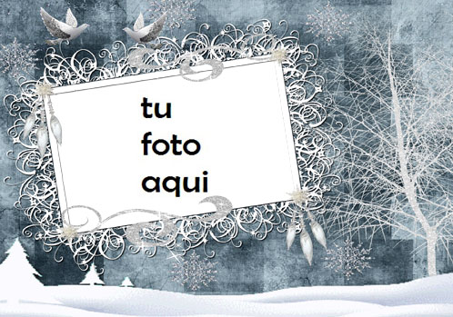 Marco Para Foto Belleza Del Bosque De Invierno Invierno Marcos 1 - Marco Para Foto Belleza Del Bosque De Invierno Invierno Marcos