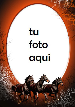 Marco Para Foto Caballos Variedad Marcos - Marco Para Foto Caballos Variedad Marcos