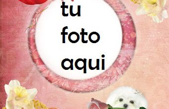 Marco Para Foto Cachorro Con Rosa Amor Marcos 340x220 - Marco Para Foto Cachorro Con Rosa Amor Marcos