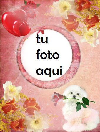 Marco Para Foto Cachorro Con Rosa Amor Marcos - Marco Para Foto Cachorro Con Rosa Amor Marcos