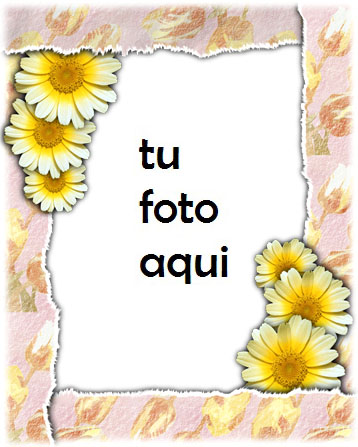 Marco Para Foto Camomiles Primavera Marcos - Marco Para Foto Camomiles Primavera Marcos