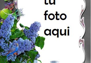 Marco Para Foto Cena Romántica Amor Marcos 316x220 - Marco Para Foto Cena Romántica Amor Marcos