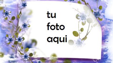 Marco Para Foto Cielo No Me Olvides Flores Amor Marcos 390x220 - Marco Para Foto Cielo No Me Olvides Flores Amor Marcos