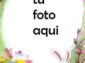 Marco Para Foto Conejo De Pascua Primavera Marcos 298x220 - Marco Para Foto Conejo De Pascua Primavera Marcos