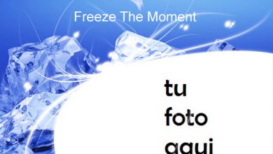 Marco Para Foto Congelar El Momento Invierno Marcos 1 390x220 - Marco Para Foto Congelar El Momento Invierno Marcos