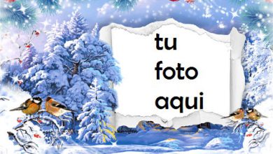 Marco Para Foto Copos De Nieve Del Árbol De Nueva York Invierno Marcos 1 390x220 - Marco Para Foto Copos De Nieve Del Árbol De Nueva York Invierno Marcos
