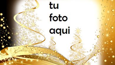 Marco Para Foto Cuento De Oro Amor Marcos 390x220 - Marco Para Foto Cuento De Oro Amor Marcos