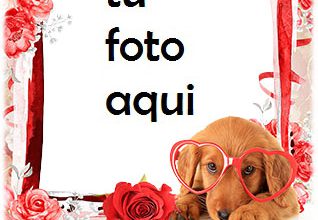 Marco Para Foto Di Amor Con Un Marco De Fotos Con Un Lindo Perro Amor Marcos 318x220 - Marco Para Foto Di Amor Con Un Marco De Fotos Con Un Lindo Perro Amor Marcos