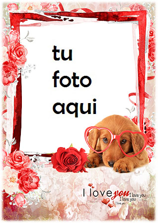 Marco Para Foto Di Amor Con Un Marco De Fotos Con Un Lindo Perro Amor Marcos - Marco Para Foto Di Amor Con Un Marco De Fotos Con Un Lindo Perro Amor Marcos