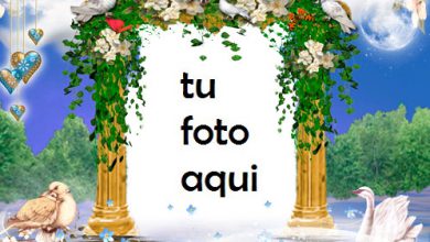 Marco Para Foto Estado De Ánimo Romántico Amor Marcos 390x220 - Marco Para Foto Estado De Ánimo Romántico Amor Marcos