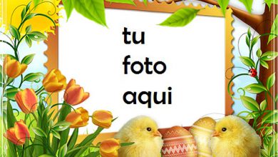 Marco Para Foto Felices Pascuas Con Chicas Lindas Primavera Marcos 390x220 - Marco Para Foto Felices Pascuas Con Chicas Lindas Primavera Marcos