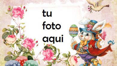 Marco Para Foto Felices Pascuas En Estilo Retro Primavera Marcos 390x220 - Marco Para Foto Felices Pascuas En Estilo Retro Primavera Marcos