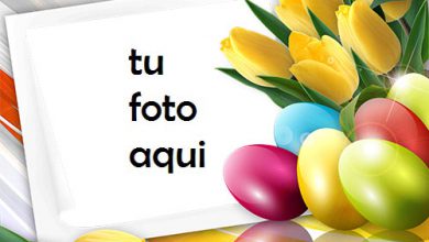 Marco Para Foto Feliz Pascua Con Tulipanes De Primavera Primavera Marcos 390x220 - Marco Para Foto Feliz Pascua Con Tulipanes De Primavera Primavera Marcos