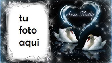Marco Para Foto Fidelidad Cisne Amor Marcos 390x220 - Marco Para Foto Fidelidad Cisne Amor Marcos
