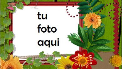 Marco Para Foto Flores Brillantes Primavera Marcos 390x220 - Marco Para Foto Flores Brillantes Primavera Marcos