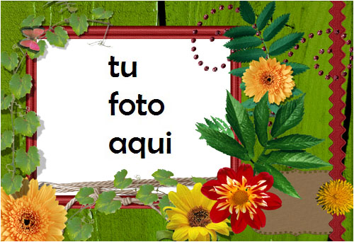 Marco Para Foto Flores Brillantes Primavera Marcos - Marco Para Foto Flores Brillantes Primavera Marcos
