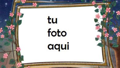 Marco Para Foto Flores De Noche Amor Marcos 390x220 - Marco Para Foto Flores De Noche Amor Marcos