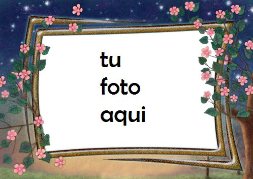 Marco Para Foto Flores De Noche Amor Marcos - Marco Para Foto Flores De Noche Amor Marcos