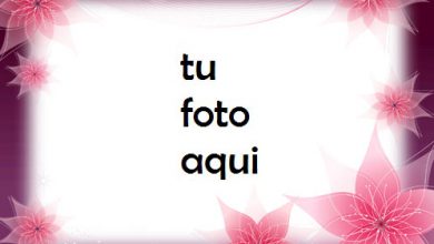 Marco Para Foto Flores De Primavera De Neón Amor Marcos 390x220 - Marco Para Foto Flores De Primavera De Neón Amor Marcos
