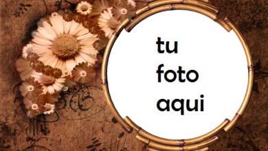 Marco Para Foto Flores Retro Amor Marcos 390x220 - Marco Para Foto Flores Retro Amor Marcos
