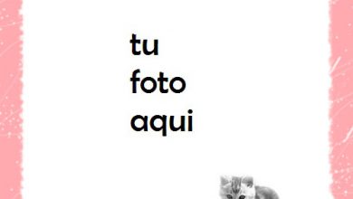 Marco Para Foto Gatos Rosados Amor Marcos 390x220 - Marco Para Foto Gatos Rosados Amor Marcos