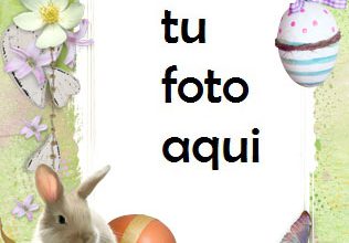 Marco Para Foto Lindo Conejito De Pascua Primavera Marcos 316x220 - Marco Para Foto Lindo Conejito De Pascua Primavera Marcos