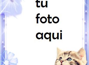 Marco Para Foto Lindo Gatito Romántico Invierno Marcos 1 298x220 - Marco Para Foto Lindo Gatito Romántico Invierno Marcos