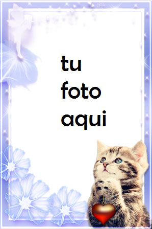 Marco Para Foto Lindo Gatito Romántico Invierno Marcos 1 - Marco Para Foto Lindo Gatito Romántico Invierno Marcos