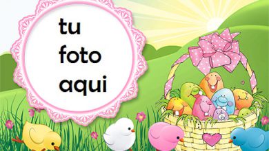 Marco Para Foto Lindos Pollitos De Pascua Y Divertidos Huevos De Pascua Primavera Marcos 390x220 - Marco Para Foto Lindos Pollitos De Pascua Y Divertidos Huevos De Pascua Primavera Marcos