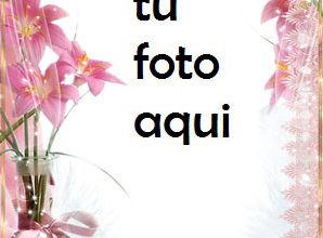 Marco Para Foto Lirios Rosados Amor Marcos 298x220 - Marco Para Foto Lirios Rosados Amor Marcos