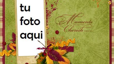 Marco Para Foto Los Momentos Son Fugaces Amor Marcos 390x220 - Marco Para Foto Los Momentos Son Fugaces Amor Marcos