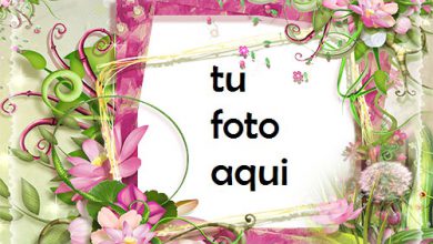 Marco Para Foto Marco De Fotos Con Flores Rosas Y Verdes Amor Marcos 390x220 - Marco Para Foto Marco De Fotos Con Flores Rosas Y Verdes Amor Marcos