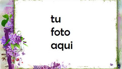 Marco Para Foto Marco De Fotos Rodeado De Flores Lilas Amor Marcos 390x220 - Marco Para Foto Marco De Fotos Rodeado De Flores Lilas Amor Marcos