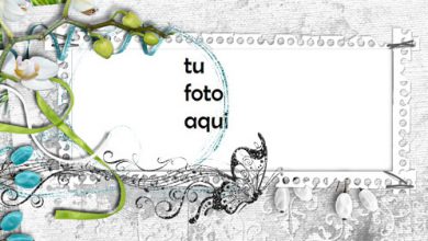 Marco Para Foto Marco De Orquídea Amor Marcos 390x220 - Marco Para Foto Marco De Orquídea Amor Marcos