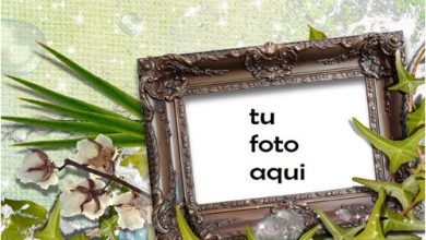 Marco Para Foto Marco En Hojas Amor Marcos 390x220 - Marco Para Foto Marco En Hojas Amor Marcos