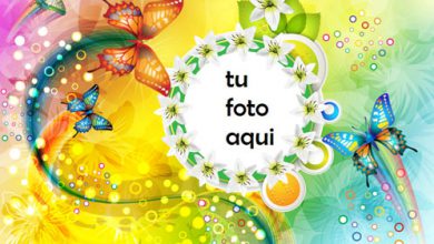 Marco Para Foto Mariposas De Varios Colores Amor Marcos 390x220 - Marco Para Foto Mariposas De Varios Colores Amor Marcos