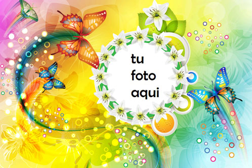 Marco Para Foto Mariposas De Varios Colores Amor Marcos - Marco Para Foto Mariposas De Varios Colores Amor Marcos
