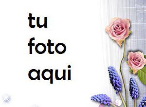 Marco Para Foto Melodía De La Noche De Verano Amor Marcos 300x220 - Marco Para Foto Melodía De La Noche De Verano Amor Marcos