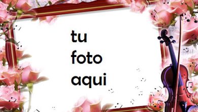 Marco Para Foto Melodía De Ternura Amor Marcos 390x220 - Marco Para Foto Melodía De Ternura Amor Marcos