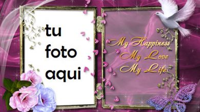 Marco Para Foto Mi Felicidad Amor Marcos 390x220 - Marco Para Foto Mi Felicidad Amor Marcos